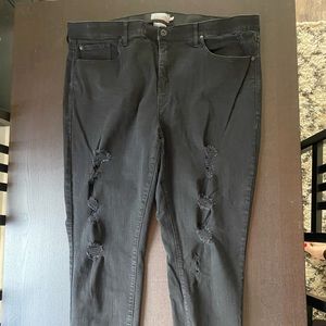 Torrid Black distressed jeans 22 Tall